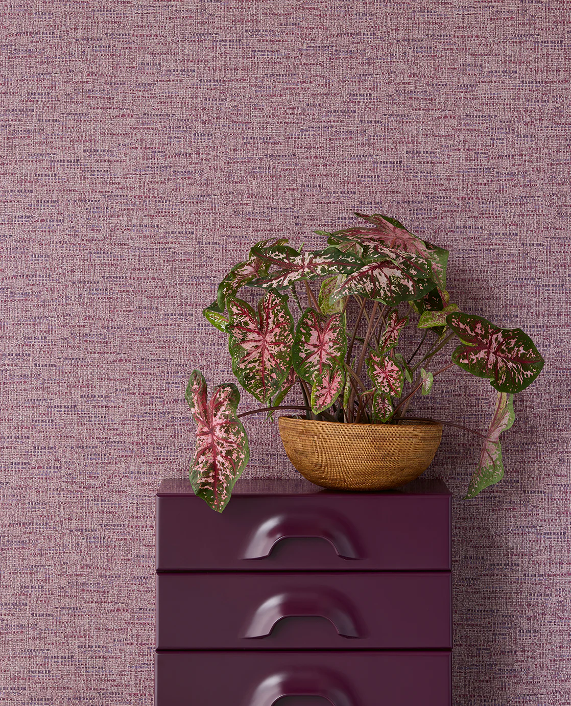 Miniatuur 2
